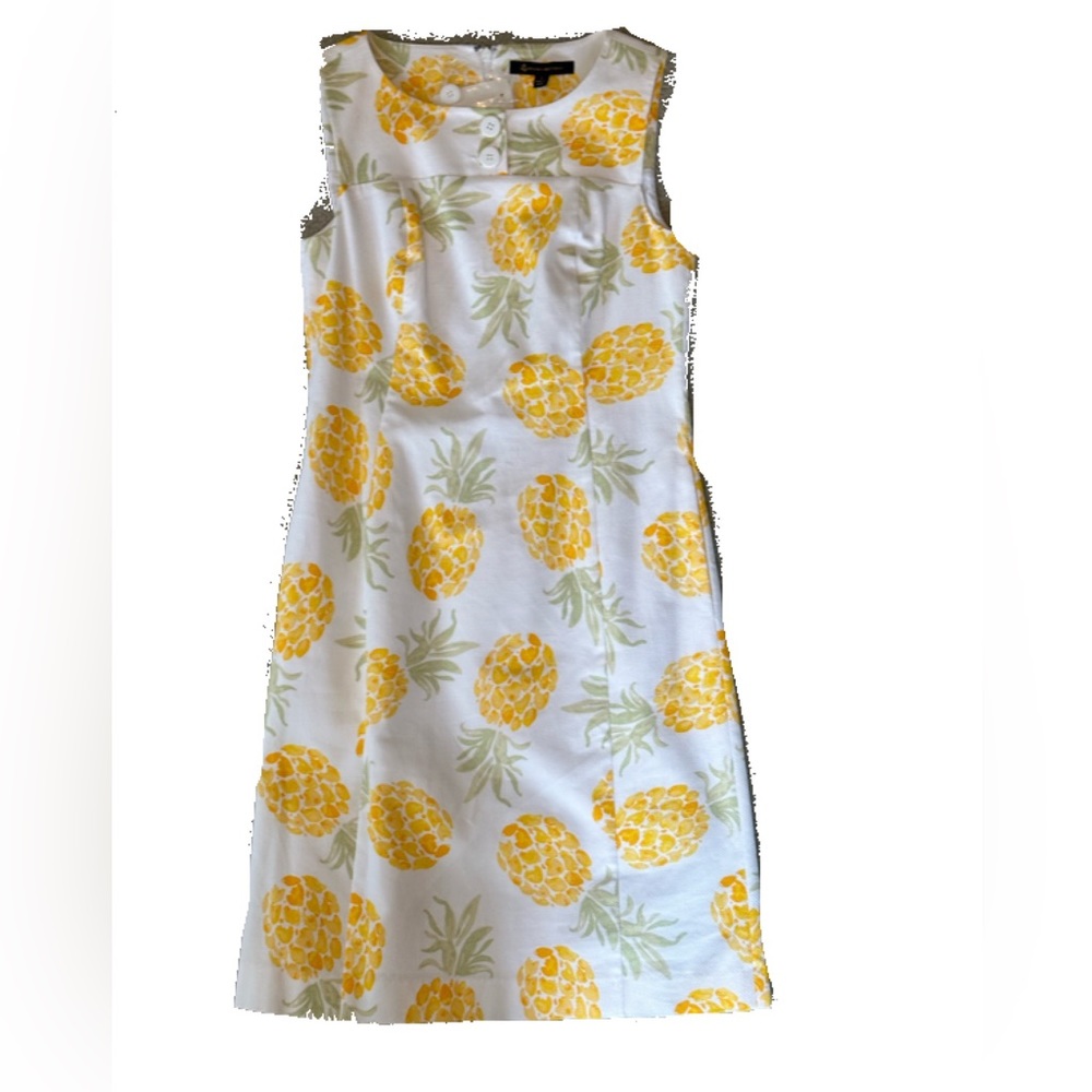 Brooks Brothers sleeveless pineapple knee length dress. Size 2. NWT